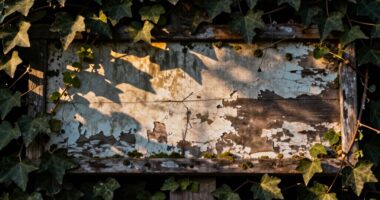 altered history s silent cost