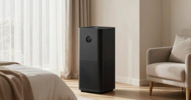 large room air purifier