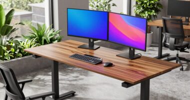 top electric desk picks