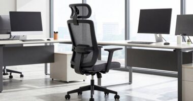 top ergonomic office chairs