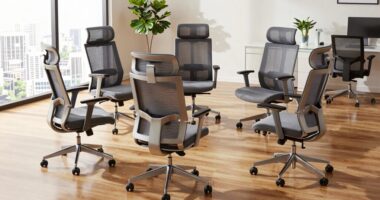 top ergonomic office chairs