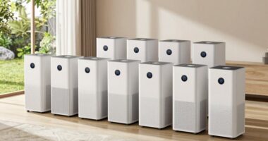 top large room air purifiers